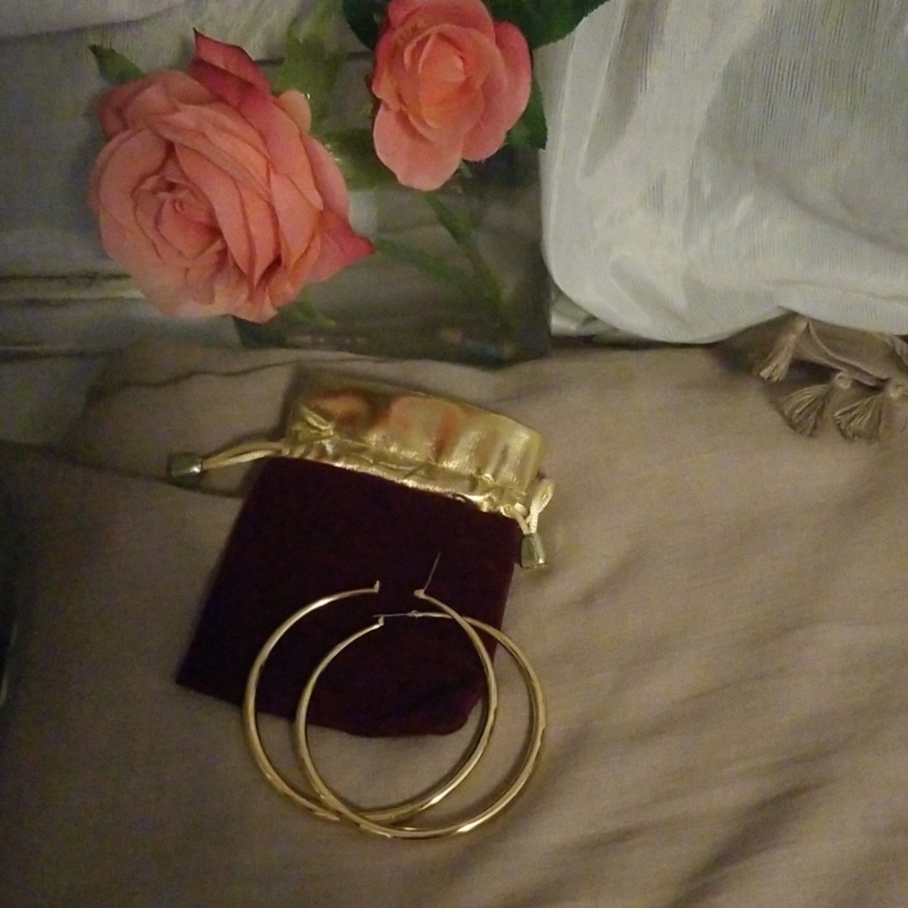 NWOT 🔥Gold filled hoop earrings 💃